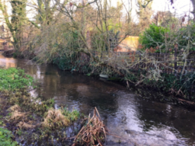 A trout redd in the river channel